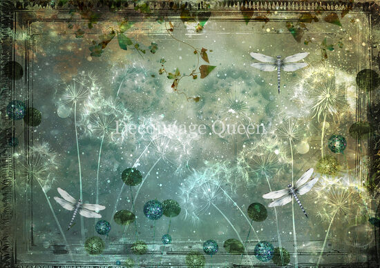 Dandelion Wishes 0744